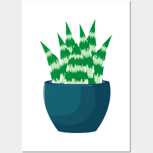 SUCCULENT Posters and Art